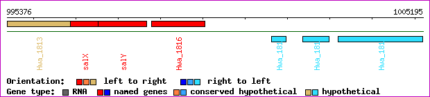 gene map