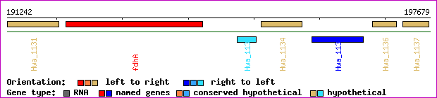 gene map