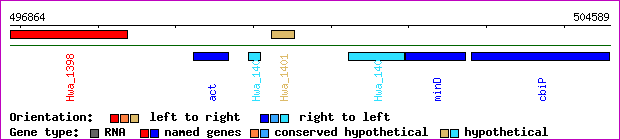 gene map