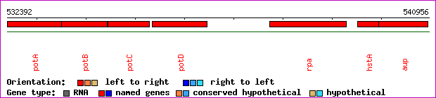 gene map