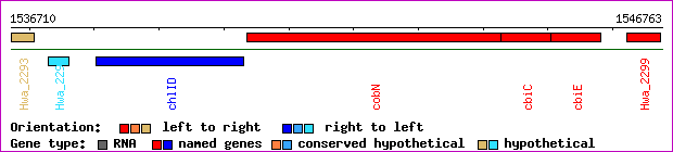 gene map