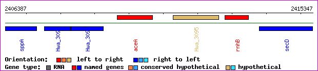 gene map