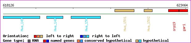 gene map