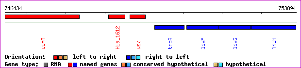gene map