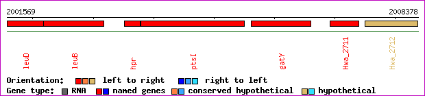 gene map
