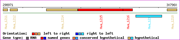 gene map