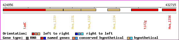 gene map