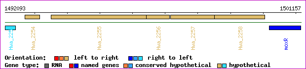 gene map