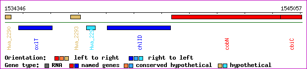 gene map