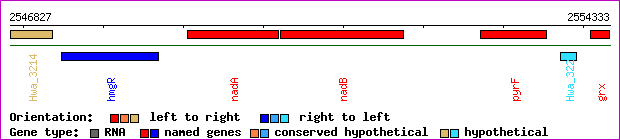 gene map