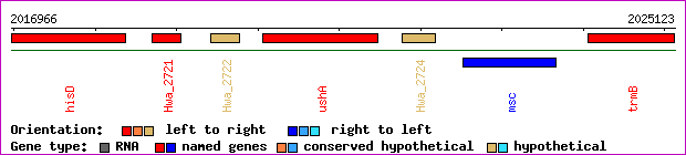 gene map