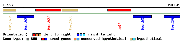 gene map