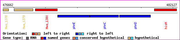 gene map