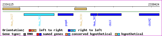 gene map
