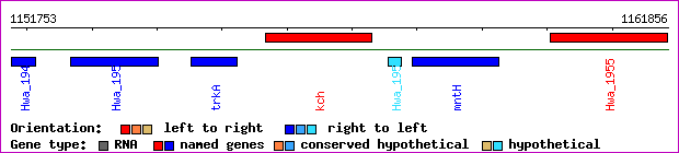 gene map