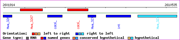 gene map