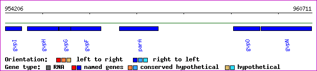 gene map