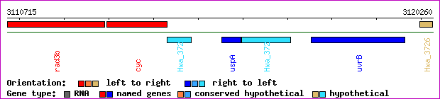 gene map