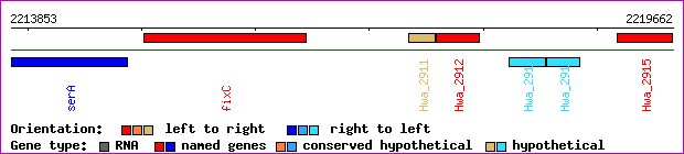 gene map