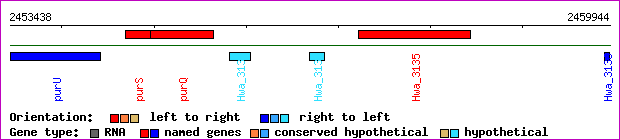 gene map