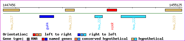 gene map