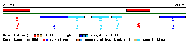gene map