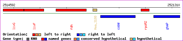 gene map