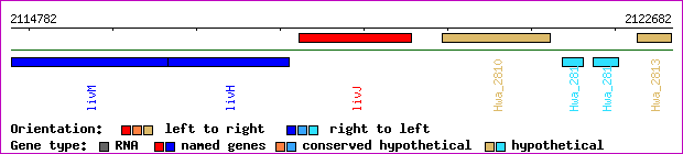 gene map