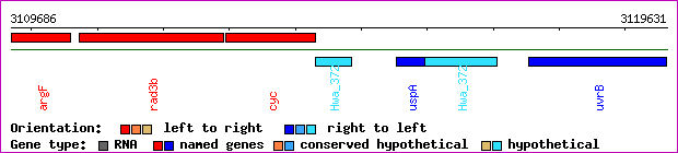 gene map