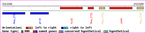 gene map