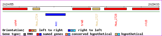gene map