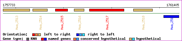 gene map