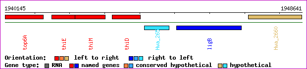 gene map