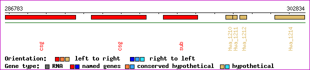 gene map