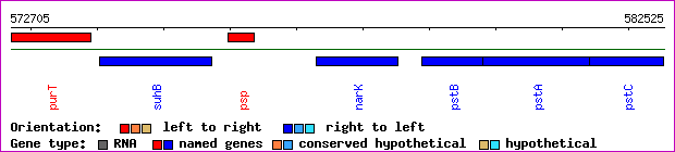 gene map