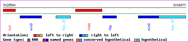 gene map