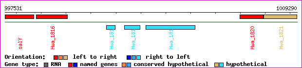 gene map