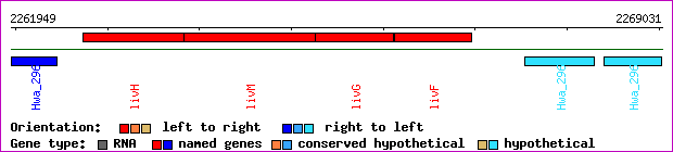 gene map