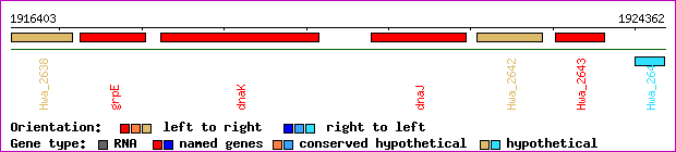 gene map