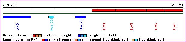 gene map