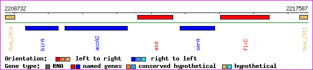 gene map