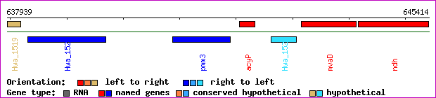 gene map