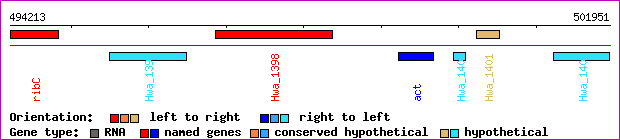 gene map
