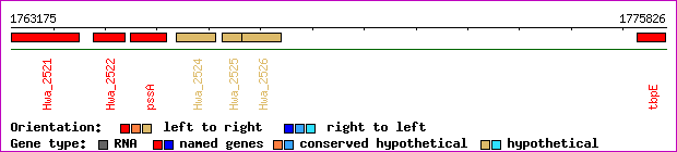 gene map