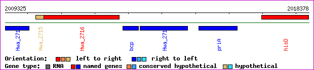 gene map