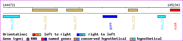 gene map