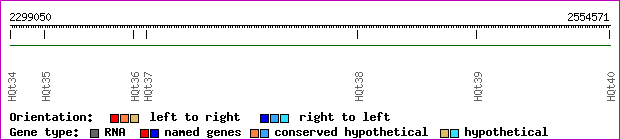 gene map