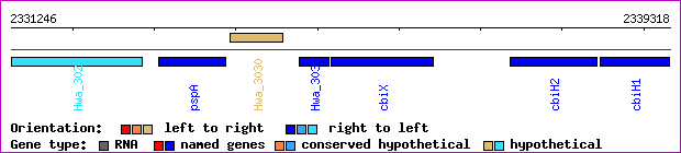 gene map