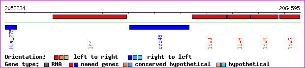 gene map