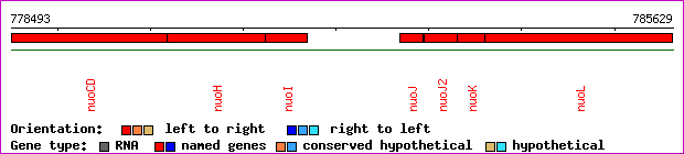 gene map